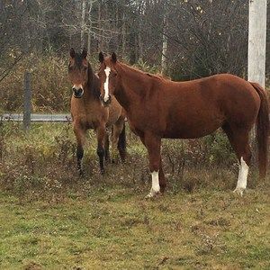 Meet your Posher, Heather